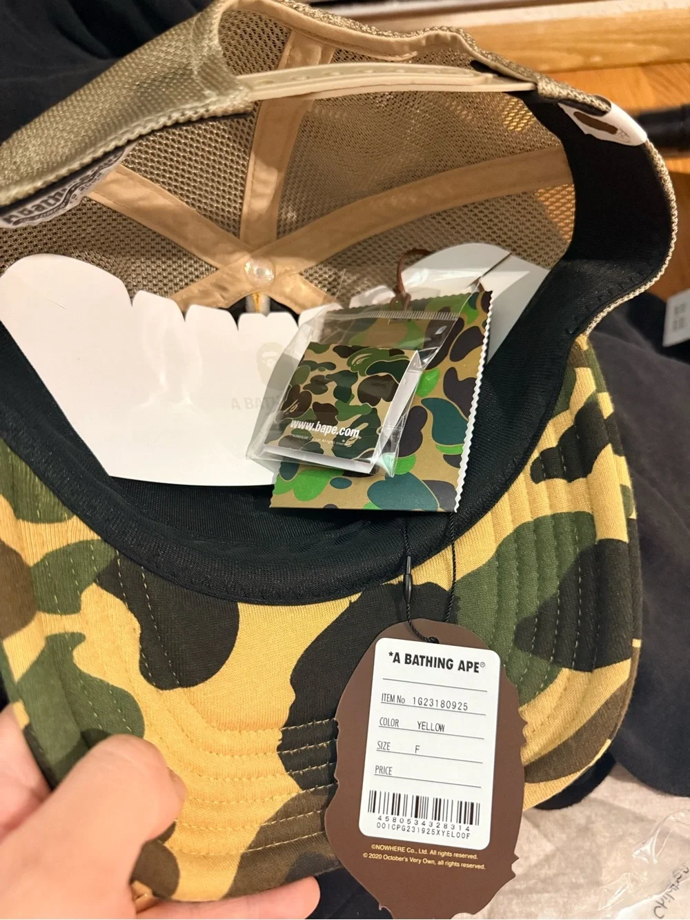 Bape season	 fall
